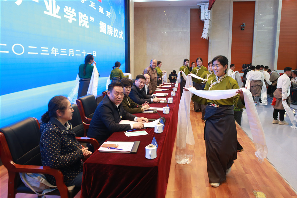 1679403688778061282.jpg BI4P3461.jpg